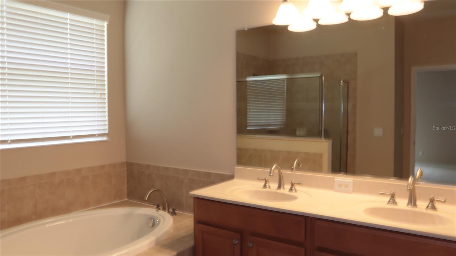 2552 Hobblebrush Dr Property Photo 15