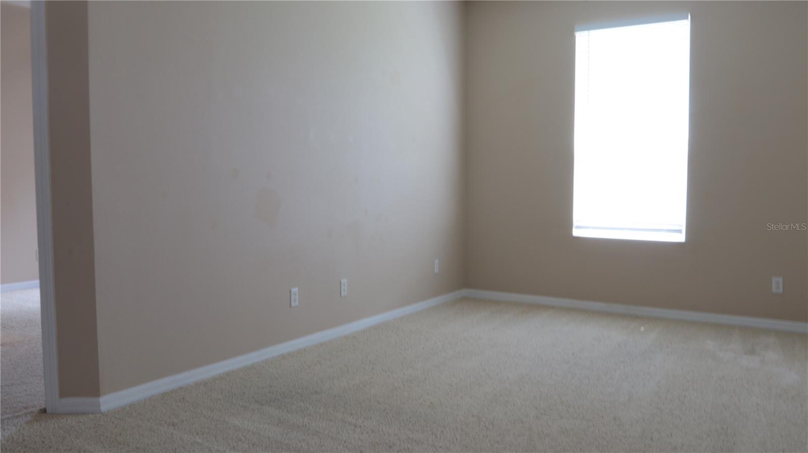 2552 Hobblebrush Dr Property Photo 17