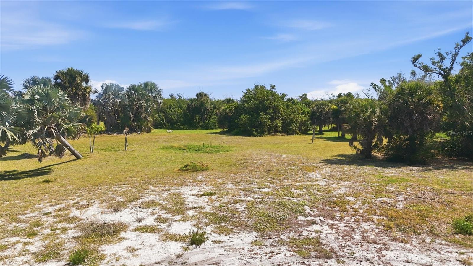 10450 Sunny Dreams Ter Property Photo 7
