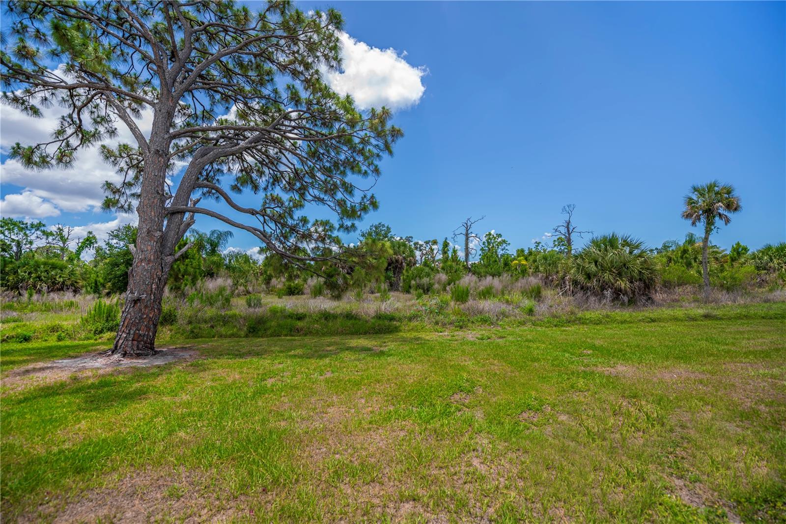 6796 Gasparilla Pines Blvd #10 Property Photo 56