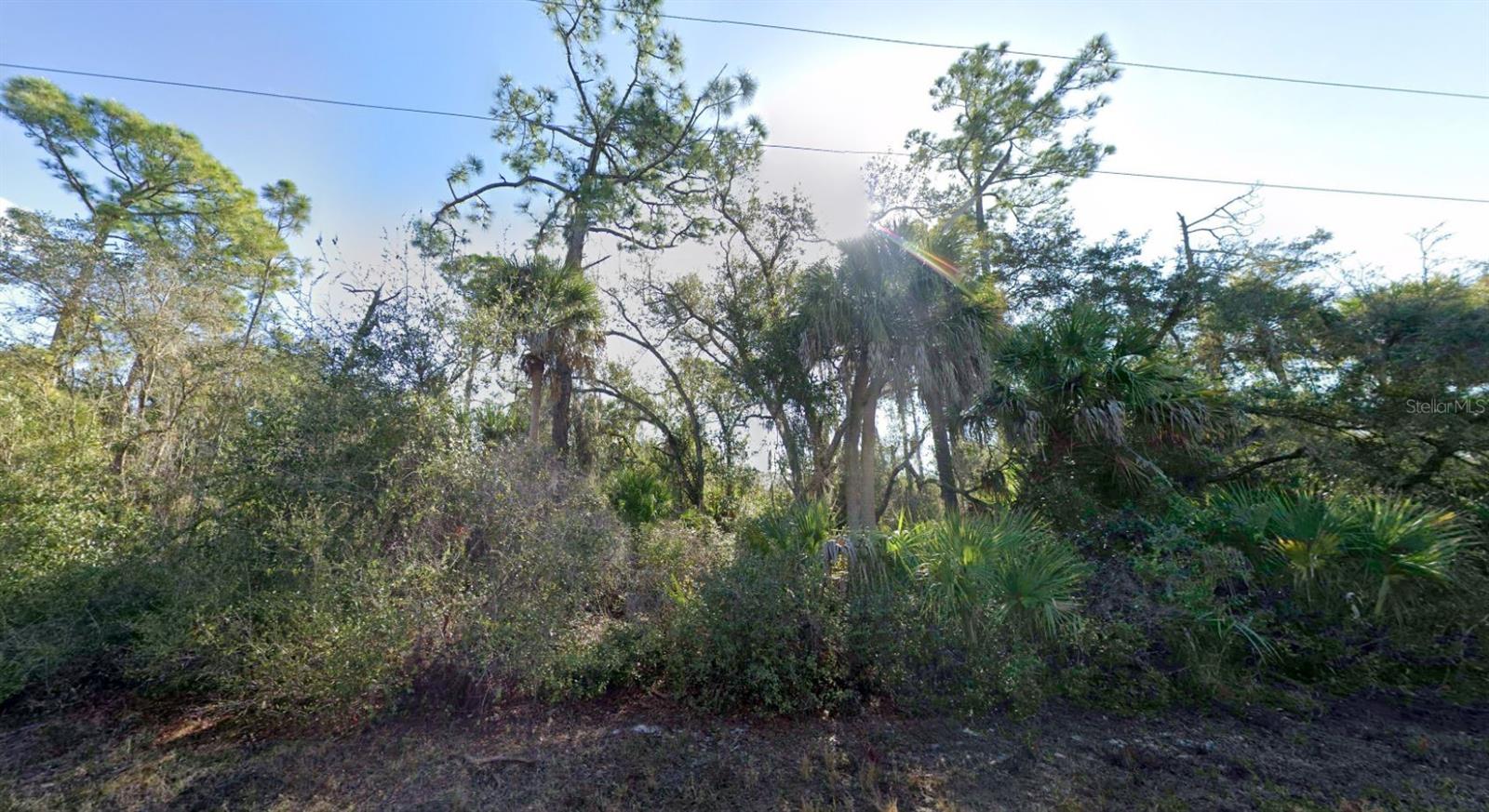2168 Dorion St Property Photo 4