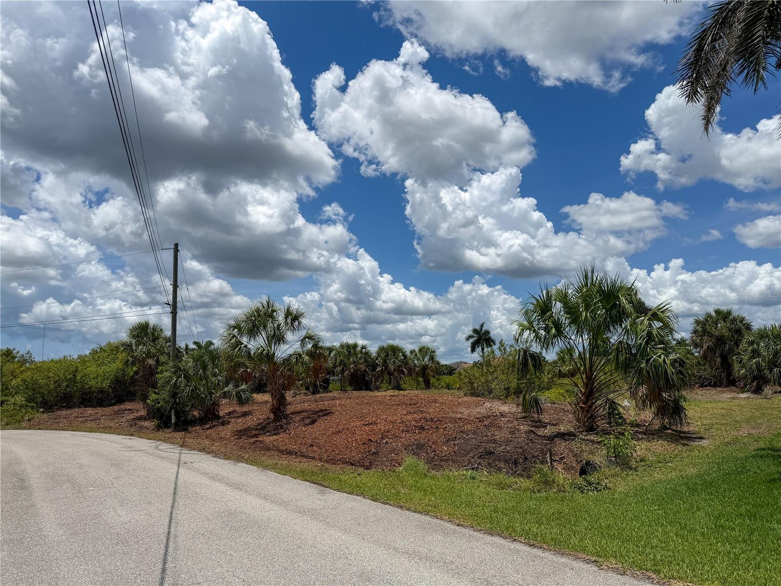 14235 Fruitport Cir Property Photo 10