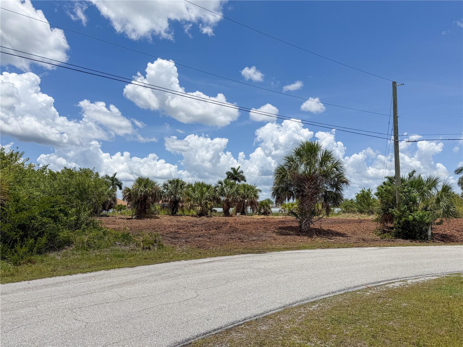 14235 Fruitport Cir Property Photo 12