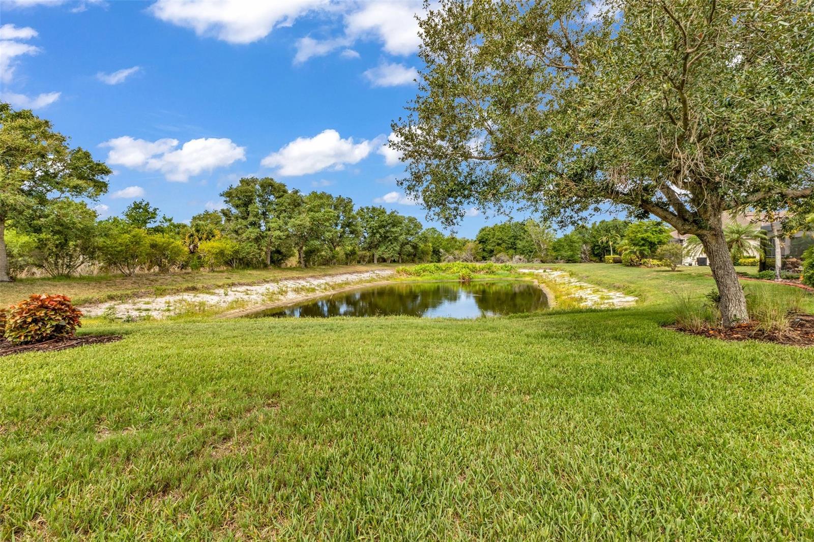 2205 Terracina Dr Property Photo 5