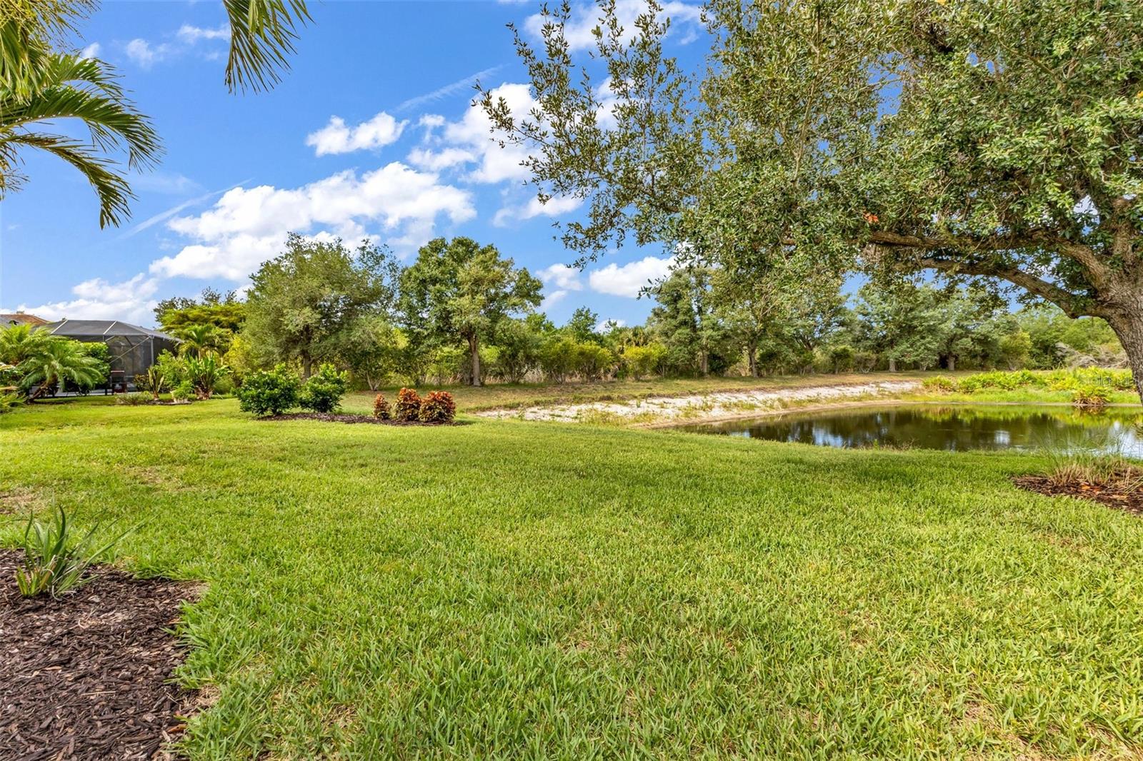 2205 Terracina Dr Property Photo 43