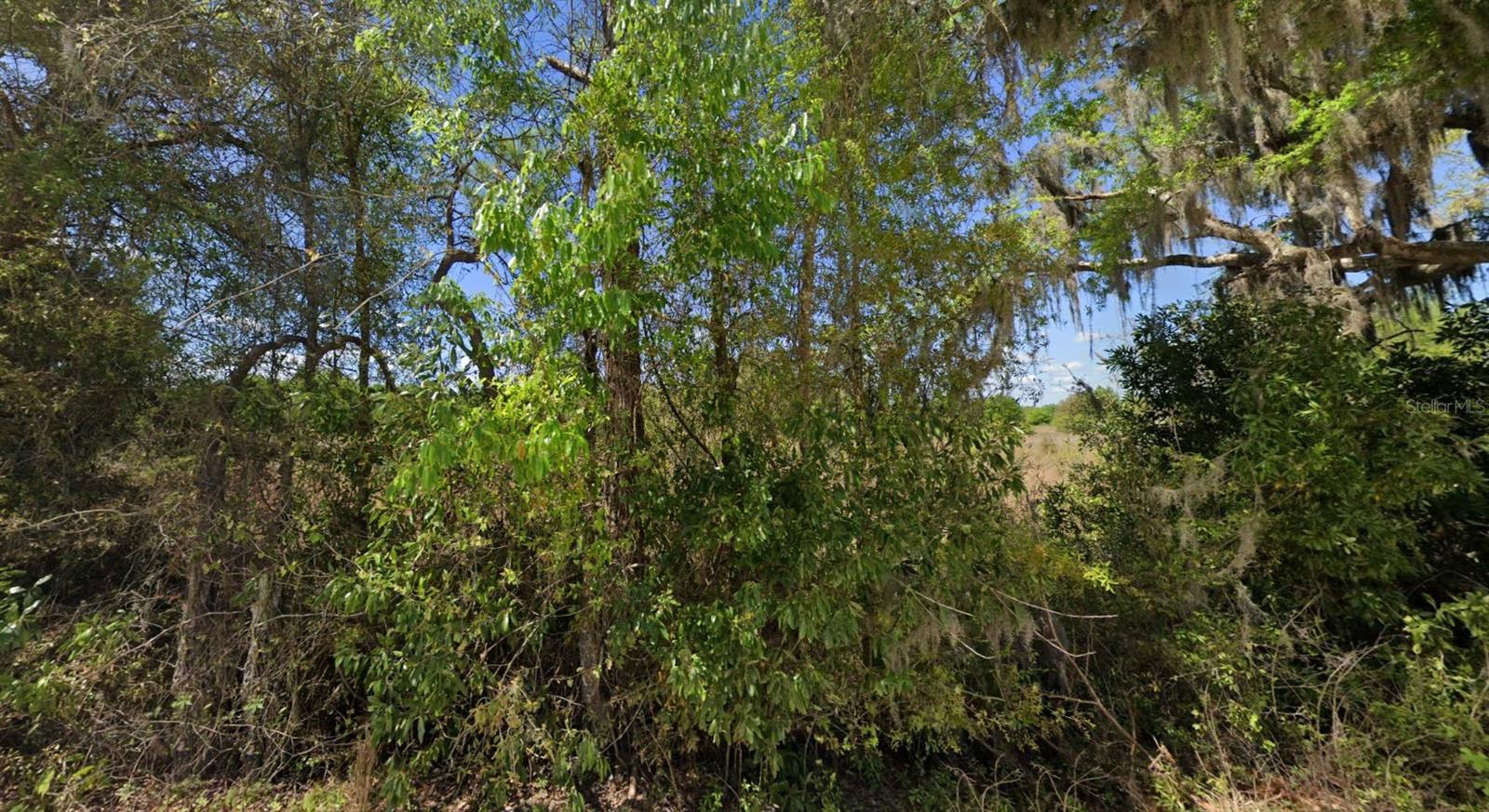 Off Nw Cr 138 #lot 71 Property Photo 4