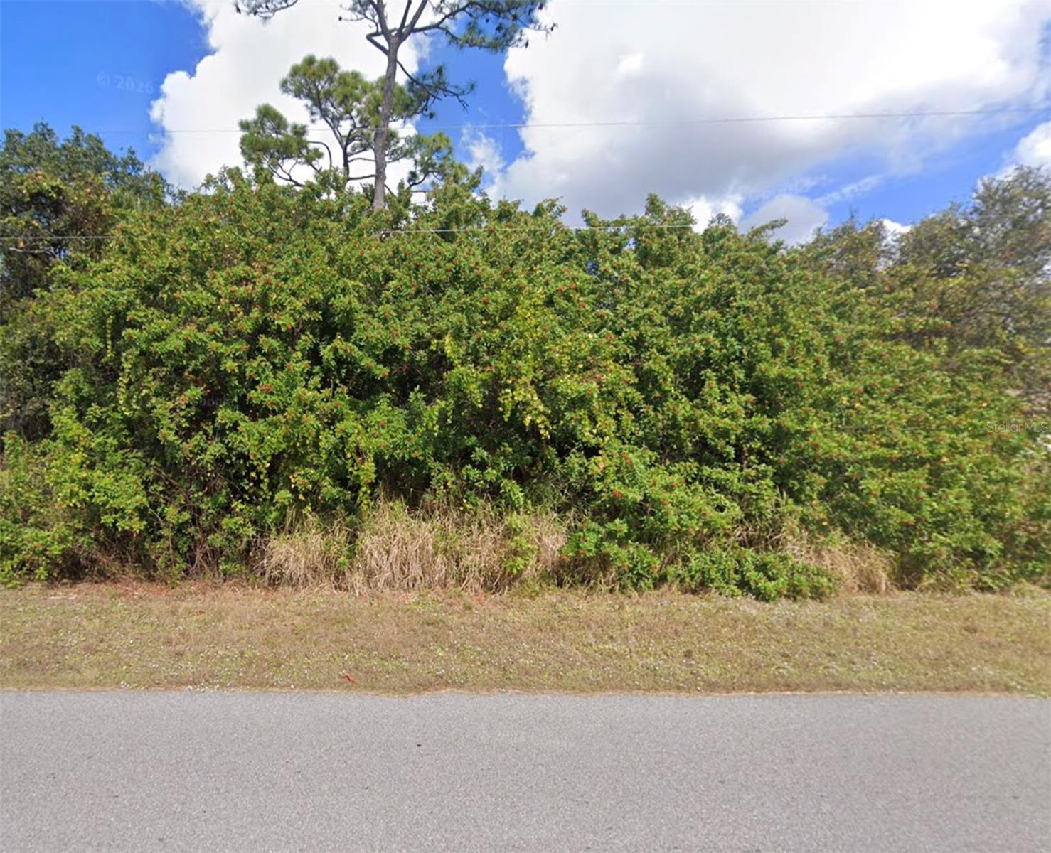 Lot 19 E Hillsborough Blvd Property Photo