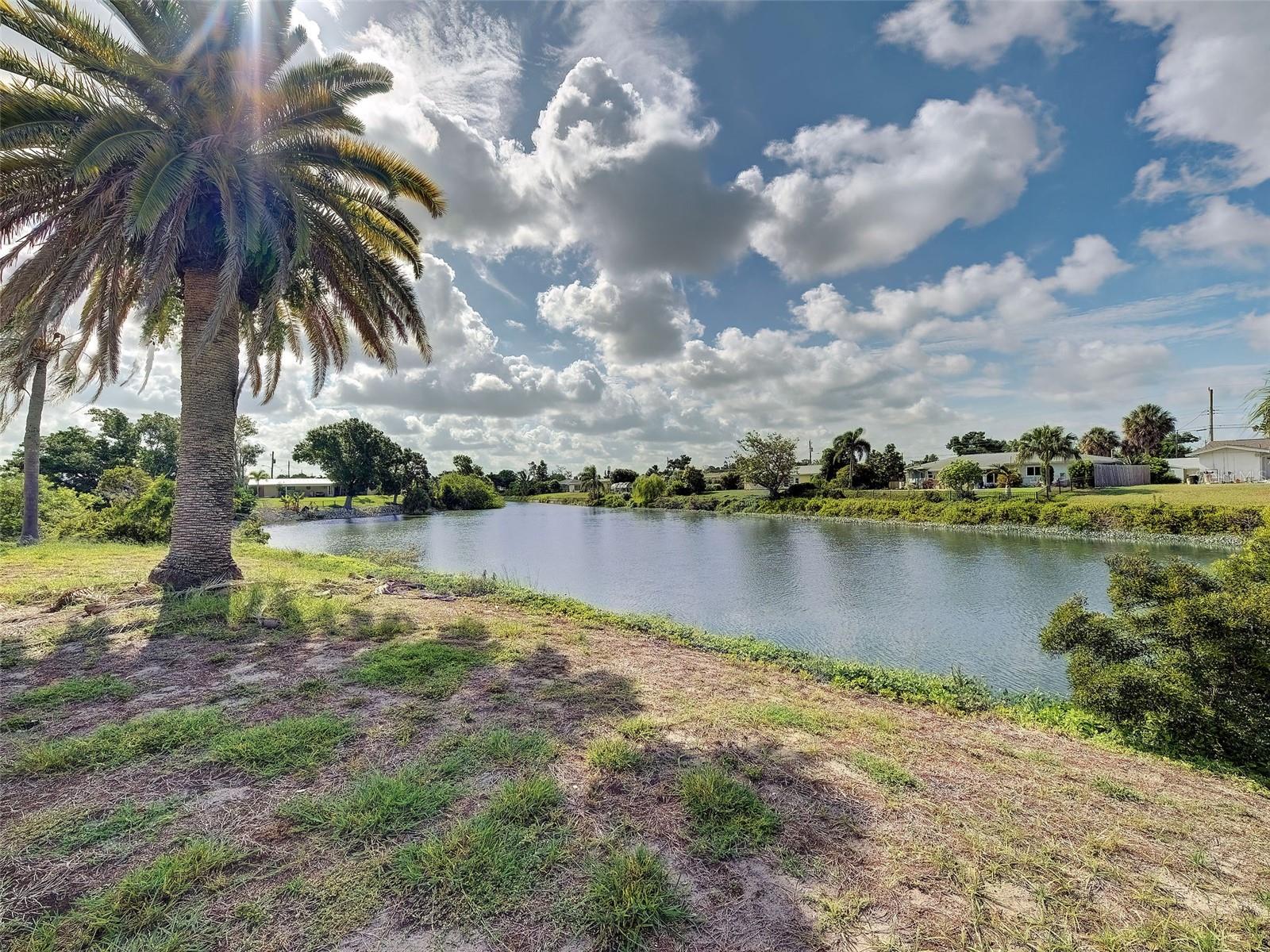 412 Pine Tree Ter Property Photo 49