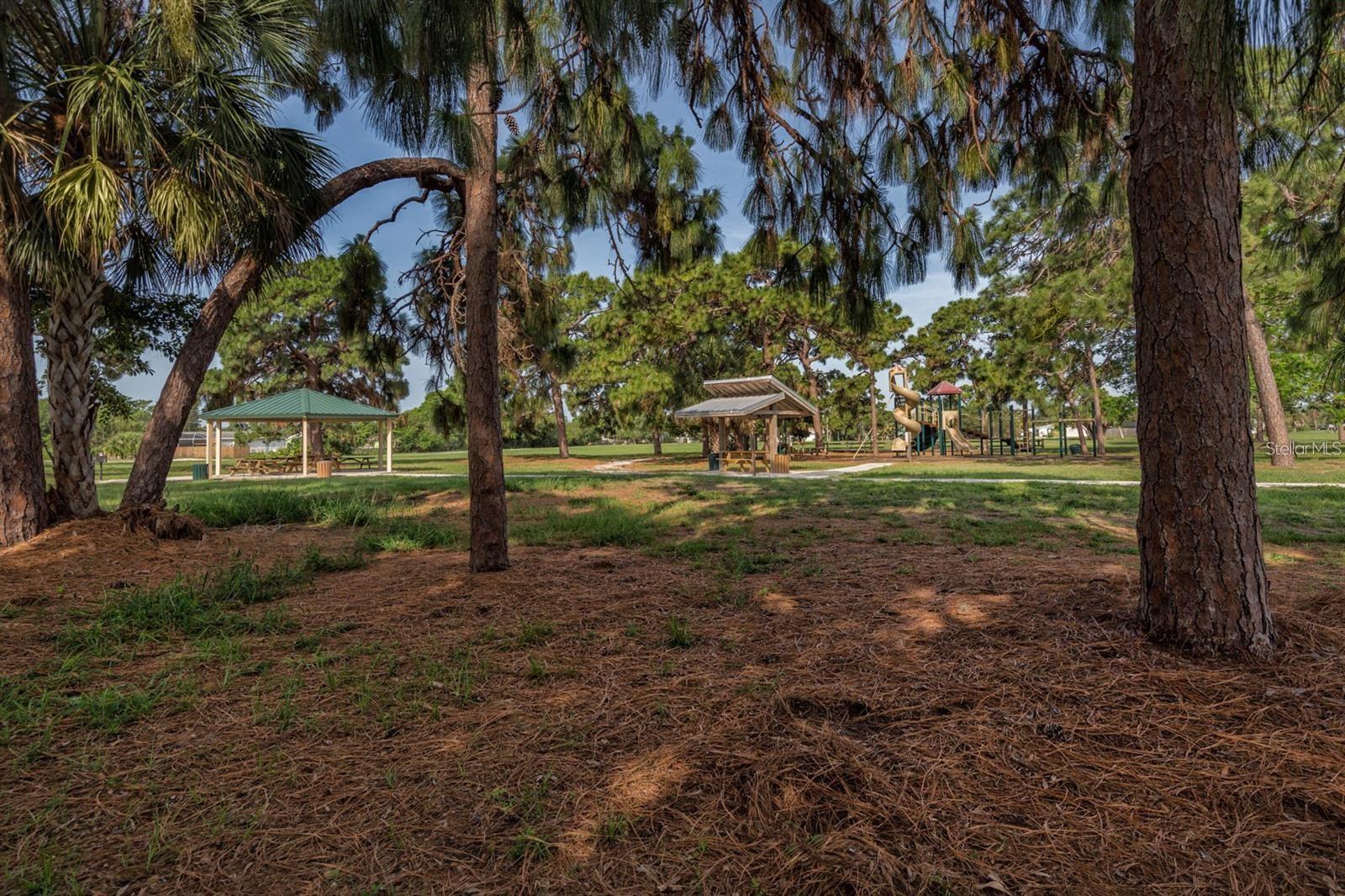 412 Pine Tree Ter Property Photo 63