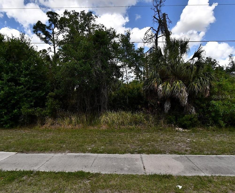 S CHAMBERLAIN BLVD Property Photo 1