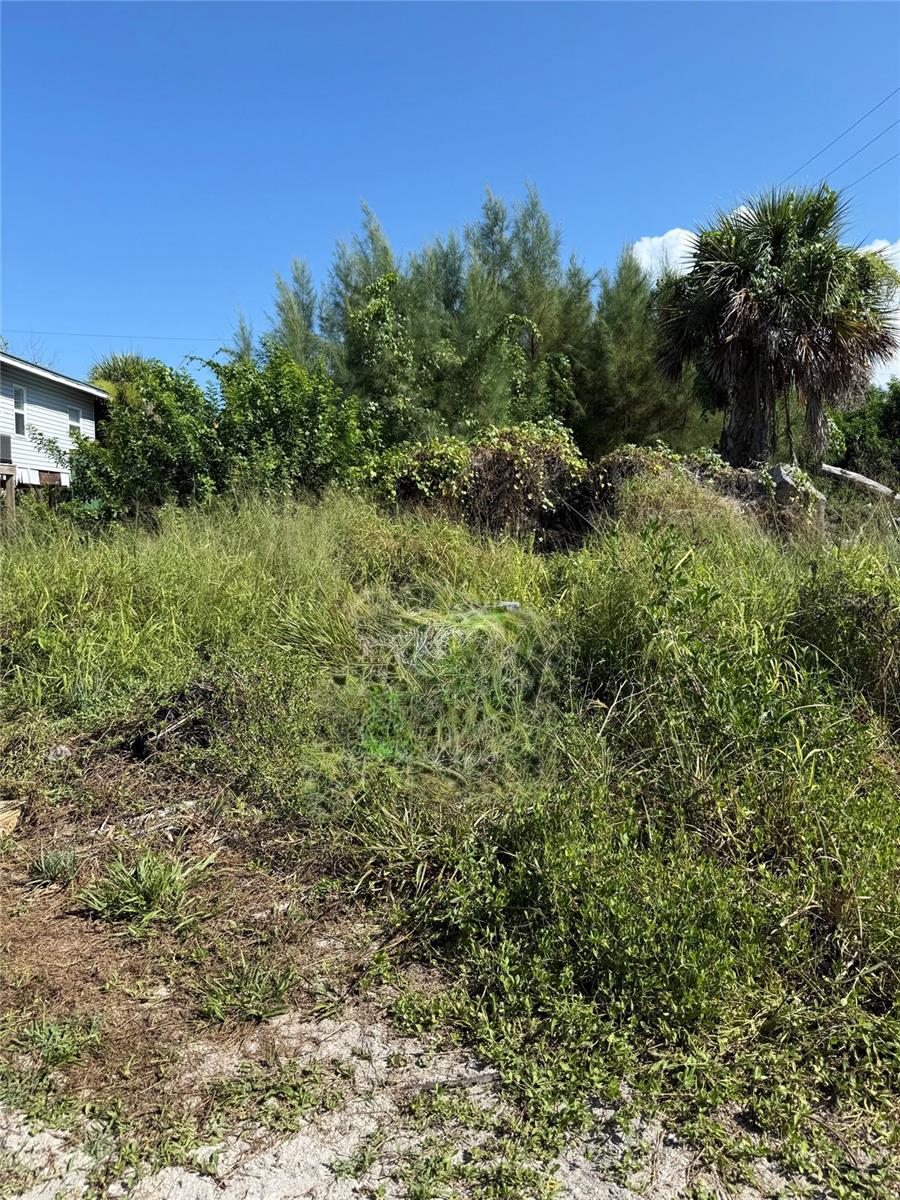 8990 Seagrape Ln Property Photo 1
