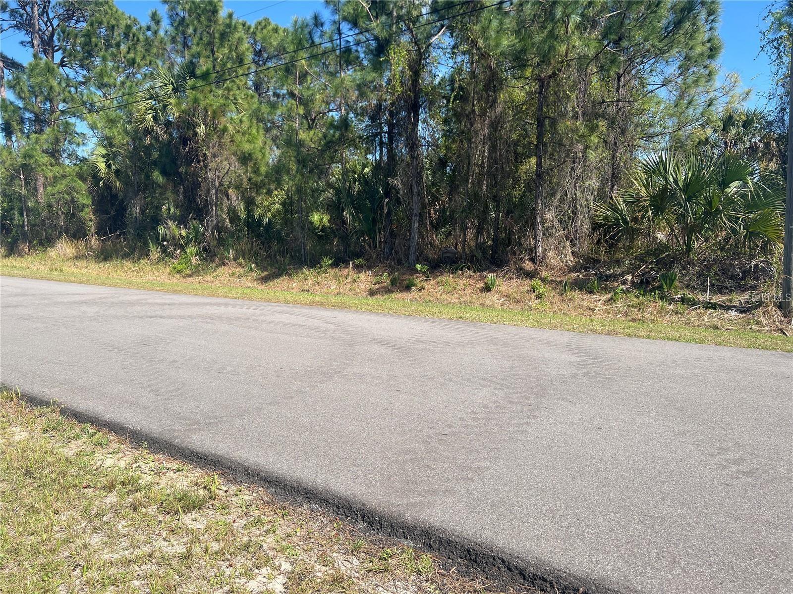 Eagle Pass St Property Photo 2