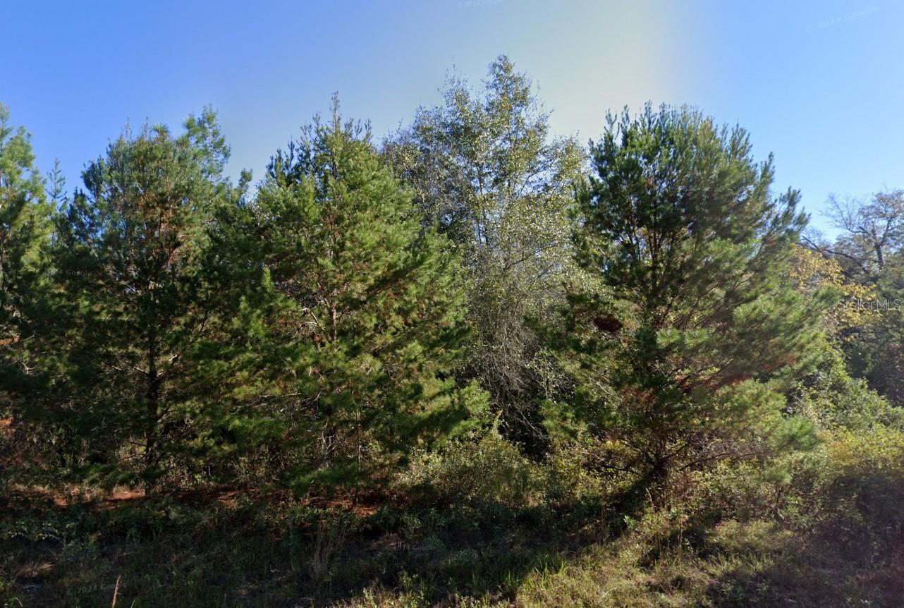 Parkview Lot 13 Dr Property Photo 1