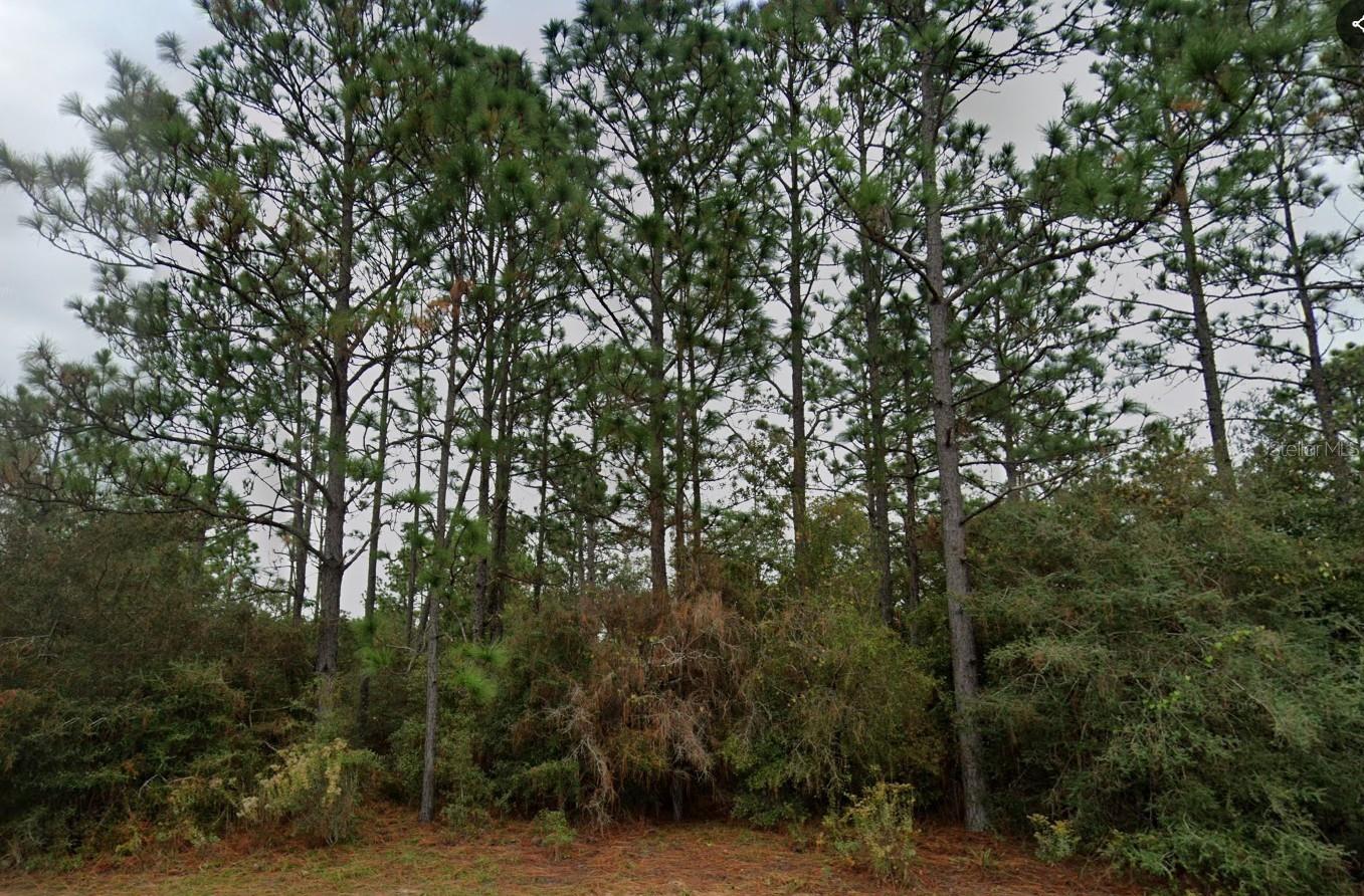 Deltona Blvd Property Photo 1
