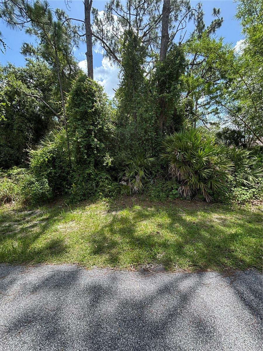 Renault Cir Property Photo 2