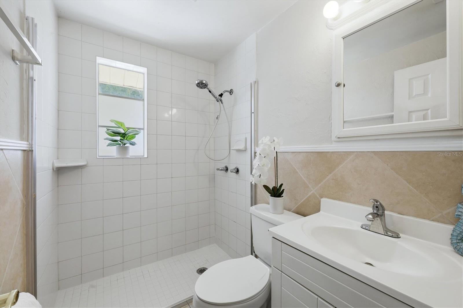 155 Magnolia Ave Property Photo 17