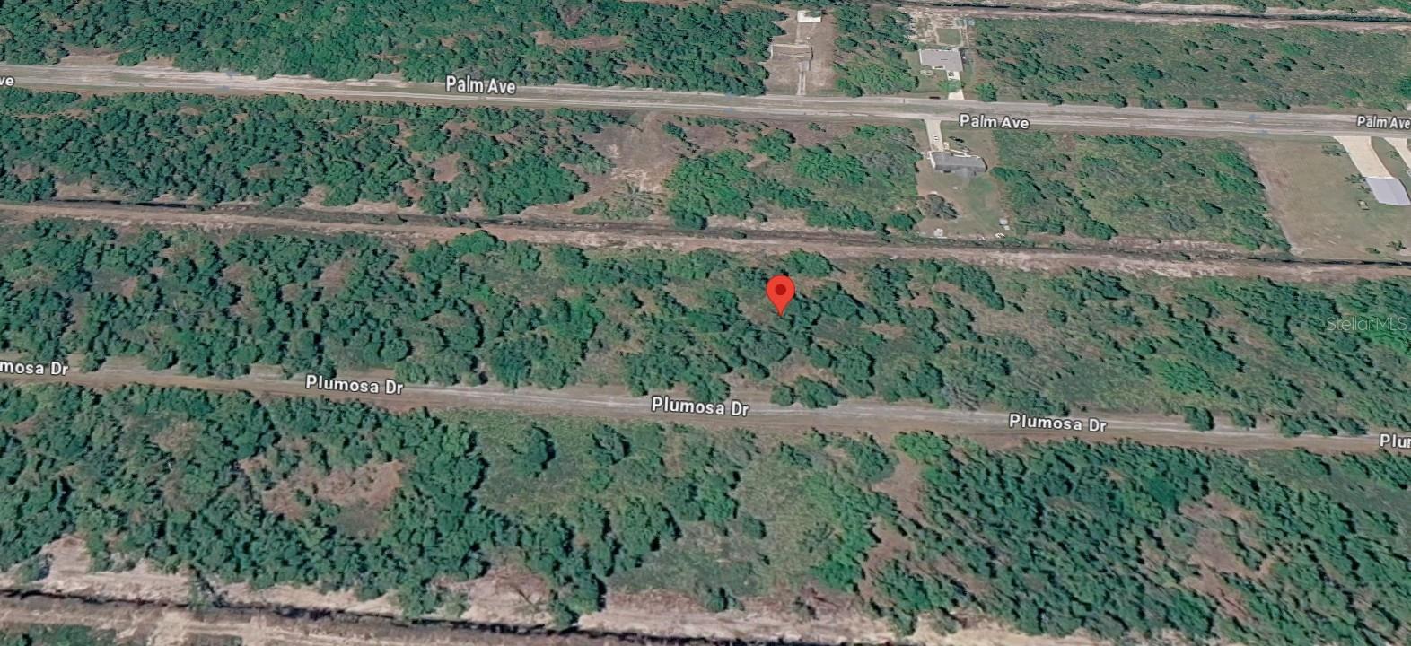 307 Plumosa Dr Property Photo 7