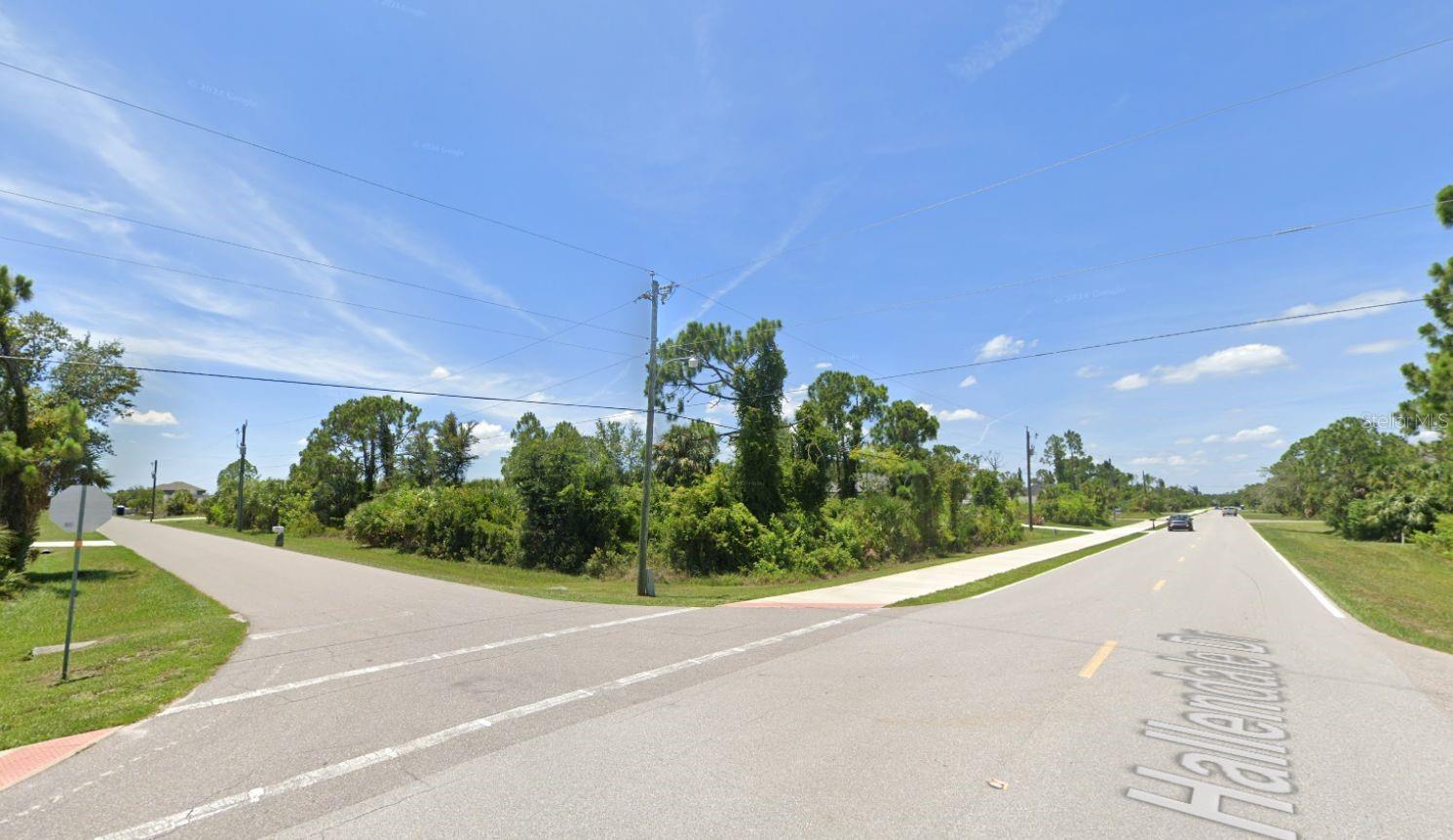 10163 &10171 Hallendale Dr Property Photo 4
