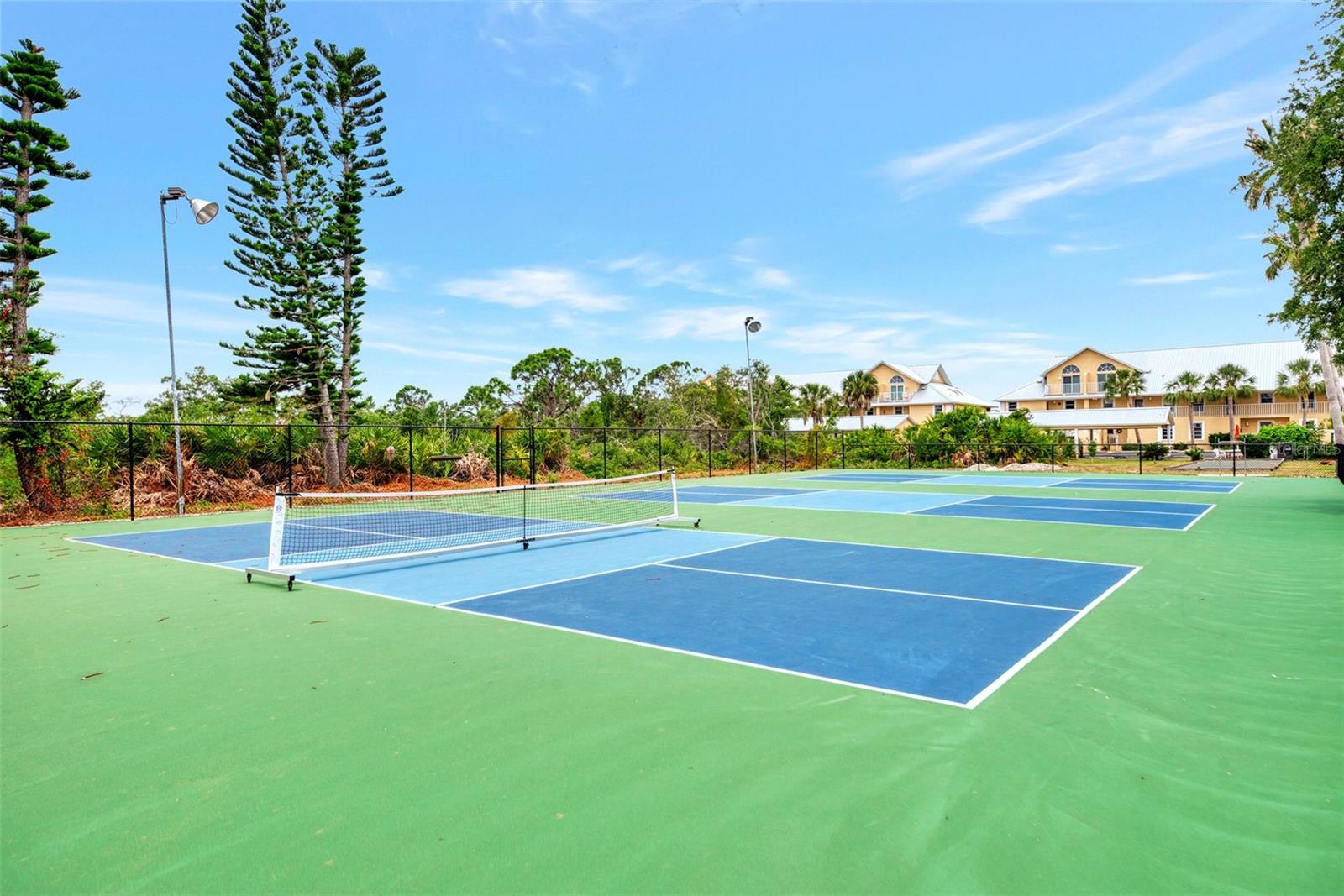 6610 Gasparilla Pines Blvd #202 Property Photo 59