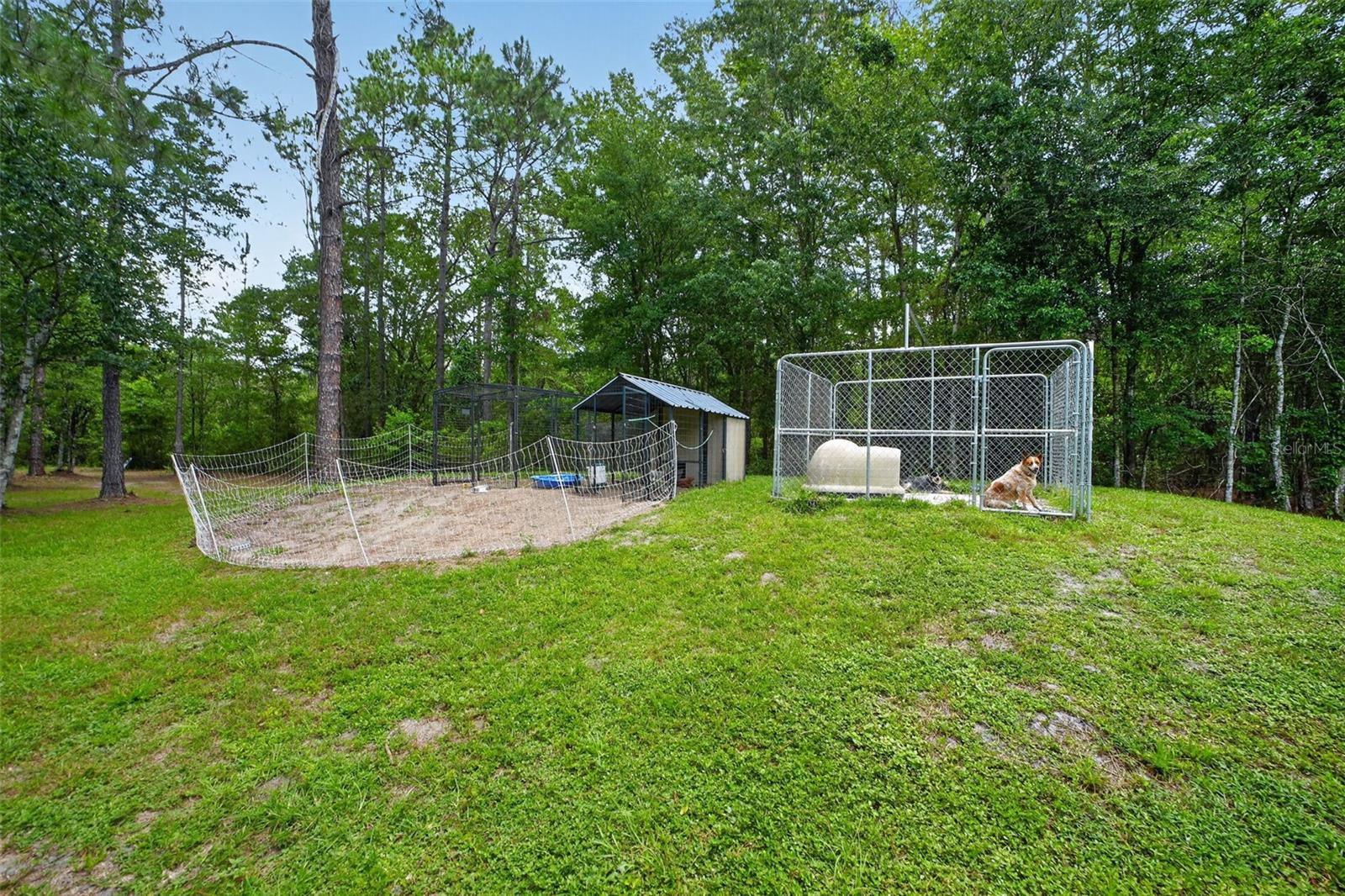 2527 Nw County Road 225 Property Photo 70