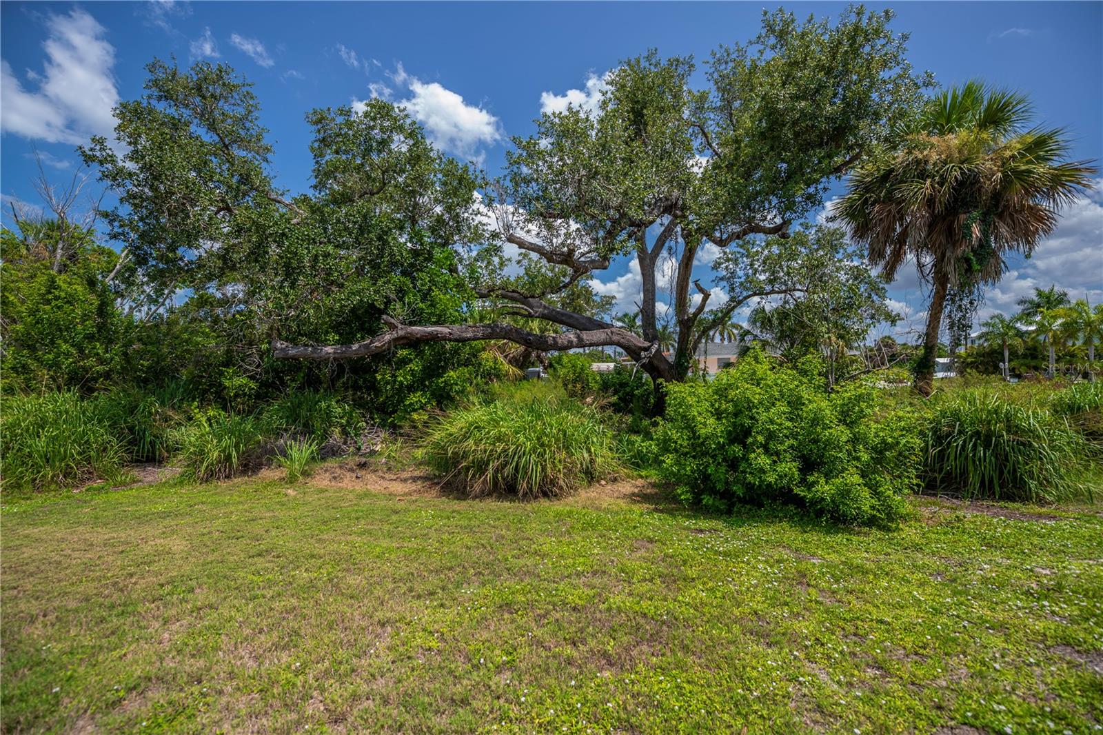 8152 Seashell St Property Photo 46