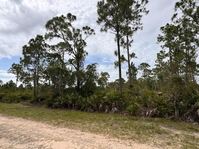 27430 CHRYSALIS DR Property Photo 1