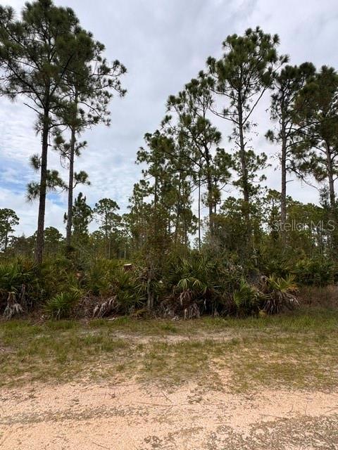 27430 Chrysalis Dr Property Photo 4