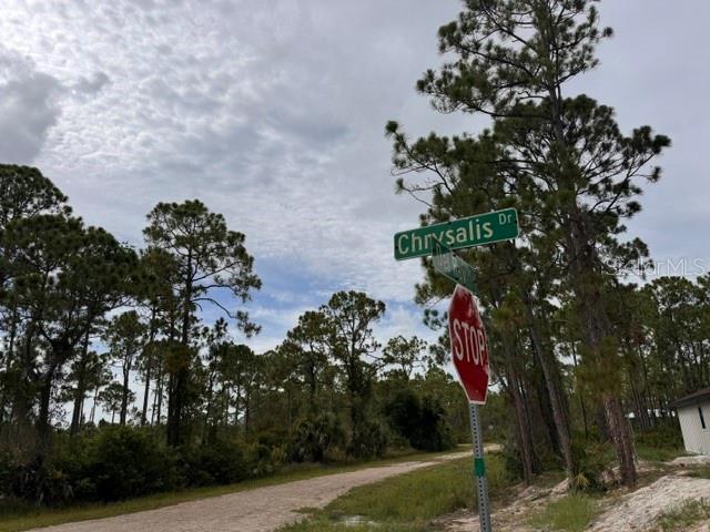 27430 Chrysalis Dr Property Photo 7
