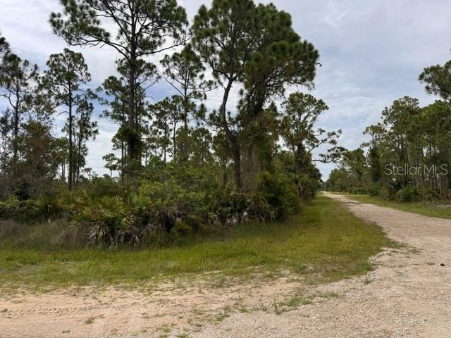 27430 Chrysalis Dr Property Photo 10