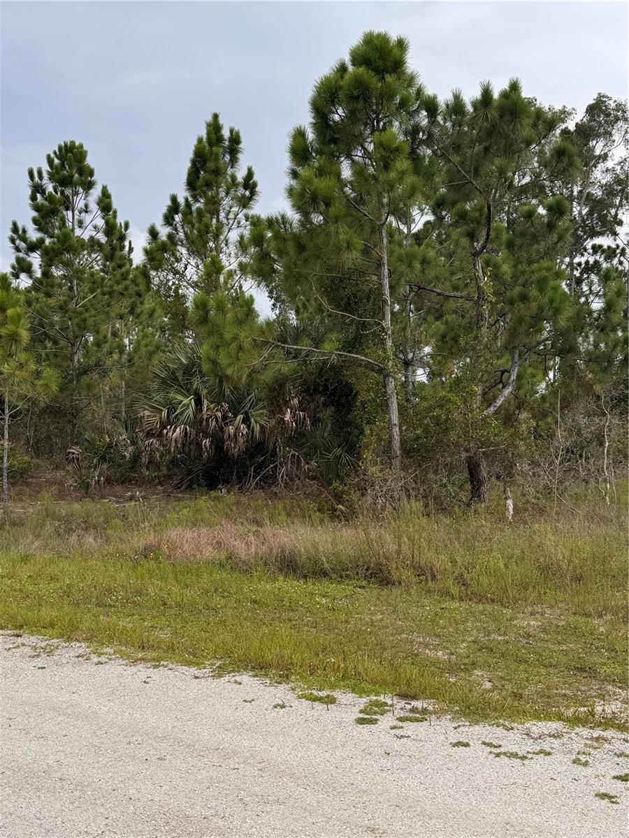 13279 CAROUSEL DR Property Photo 1