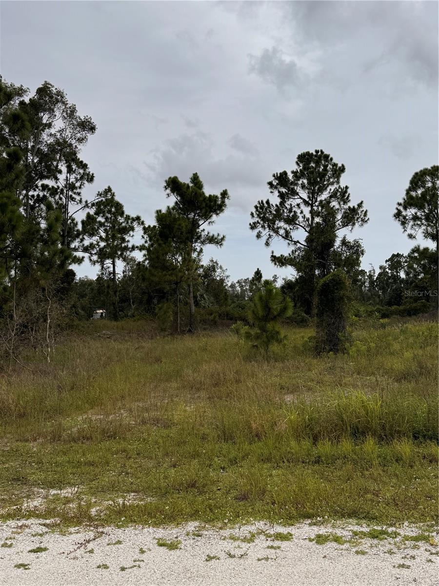 13279 Carousel Dr Property Photo 5