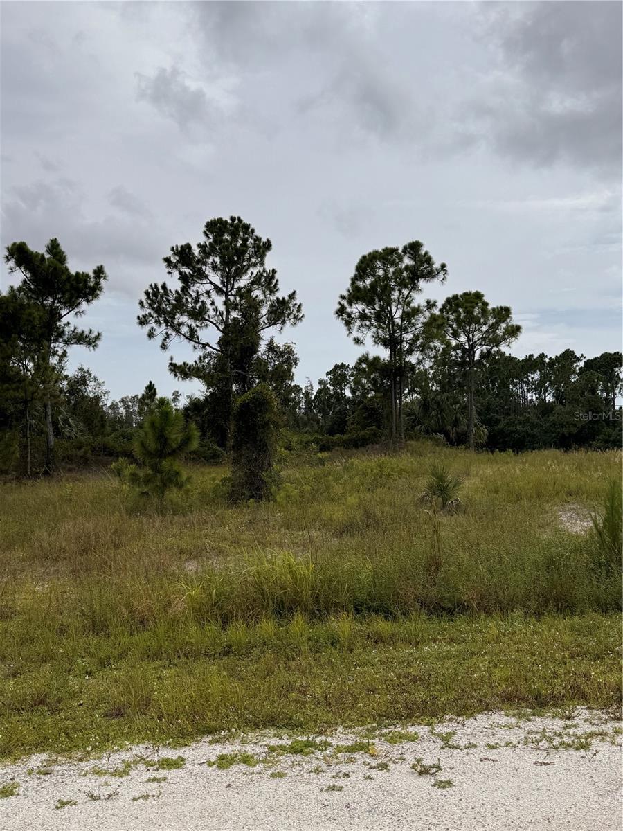 13279 Carousel Dr Property Photo 6