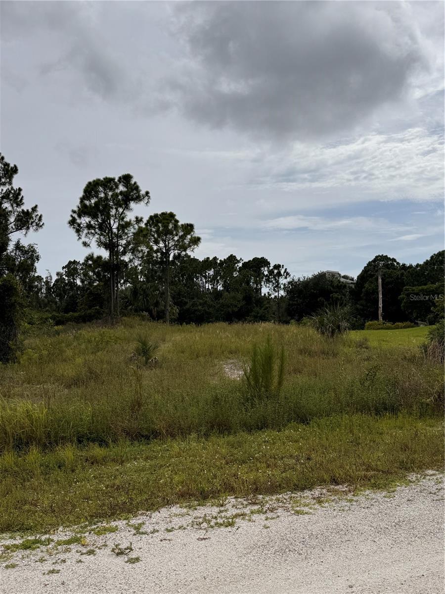 13279 Carousel Dr Property Photo 7