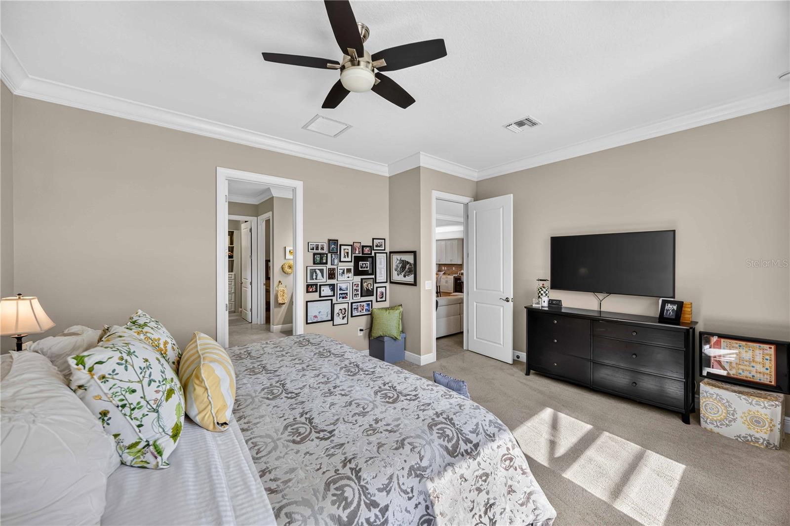 24232 Gallberry Dr Property Photo 43