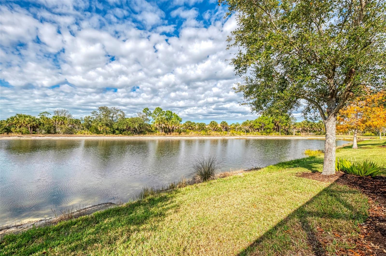 13344 Creekside Ln Property Photo 40