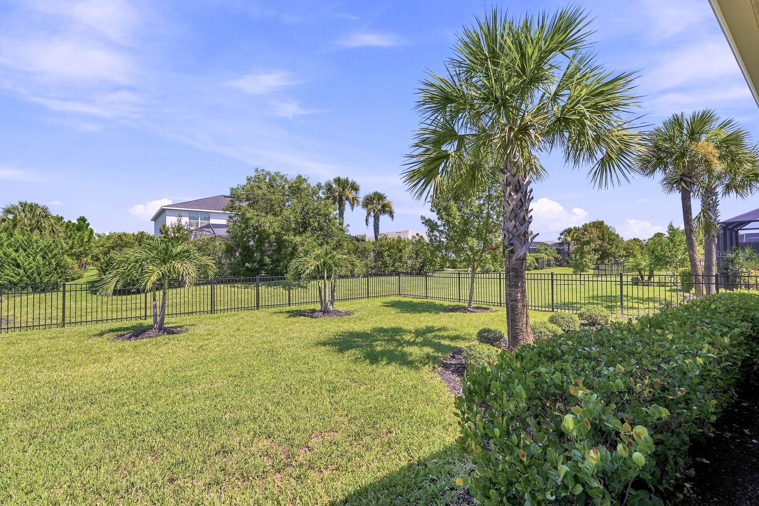 17556 Corkwood Bend Trl Property Photo 58