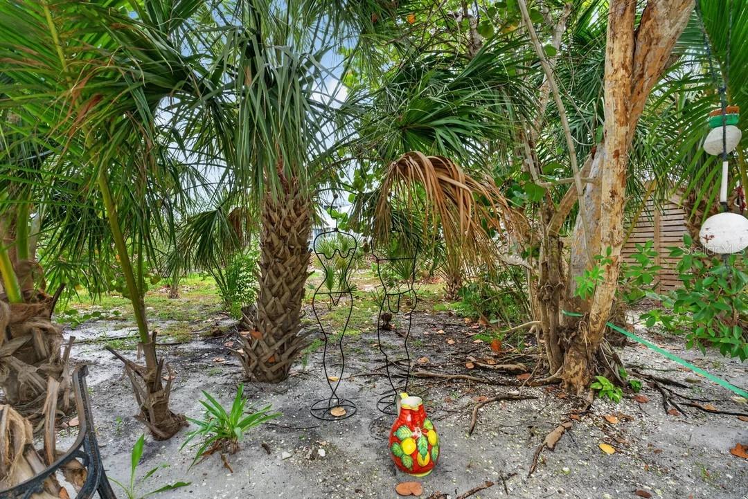 9602 Doubloon Trl Property Photo 46