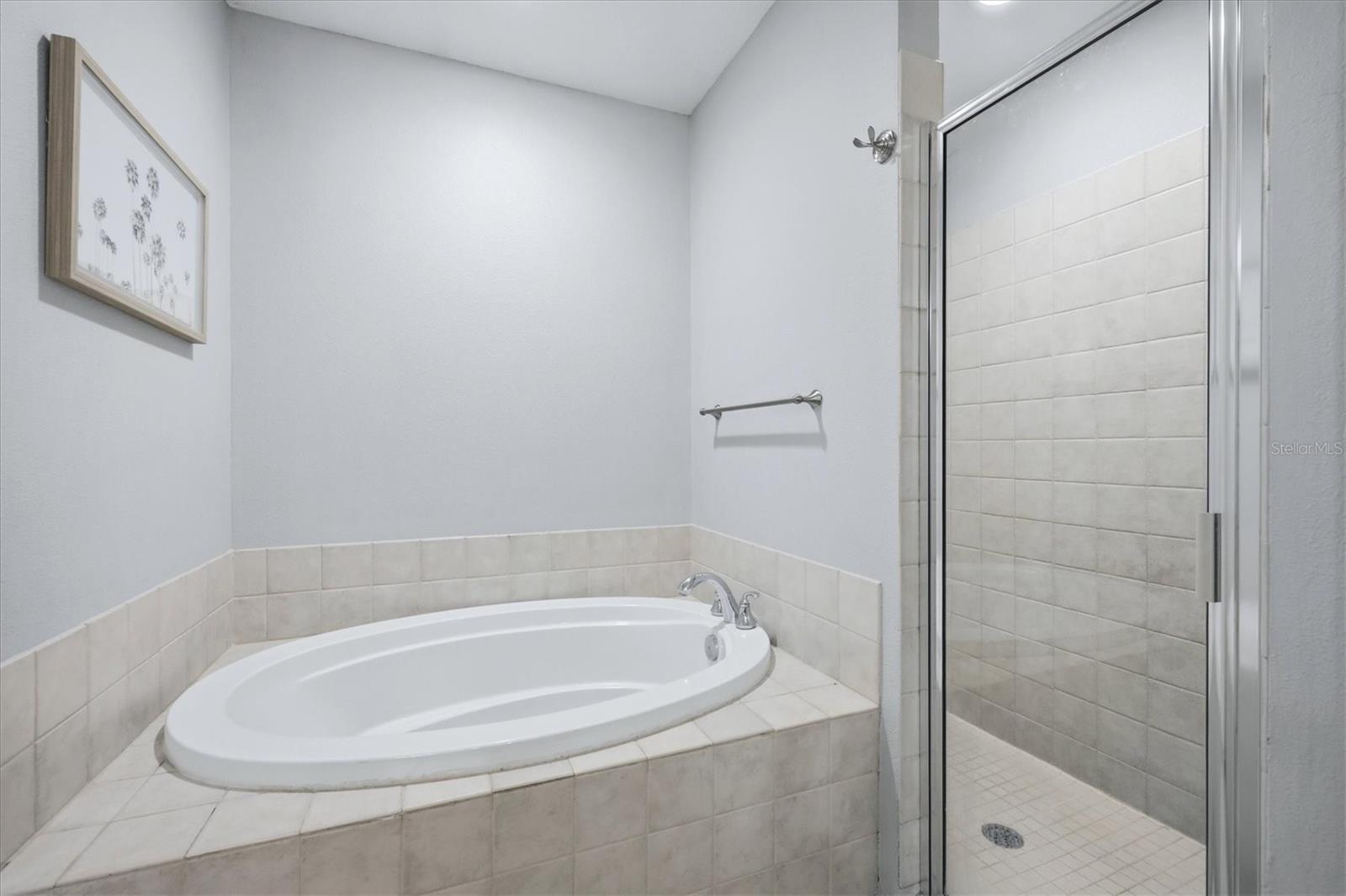 10600 Lemon Creek Loop #104 Property Photo 25