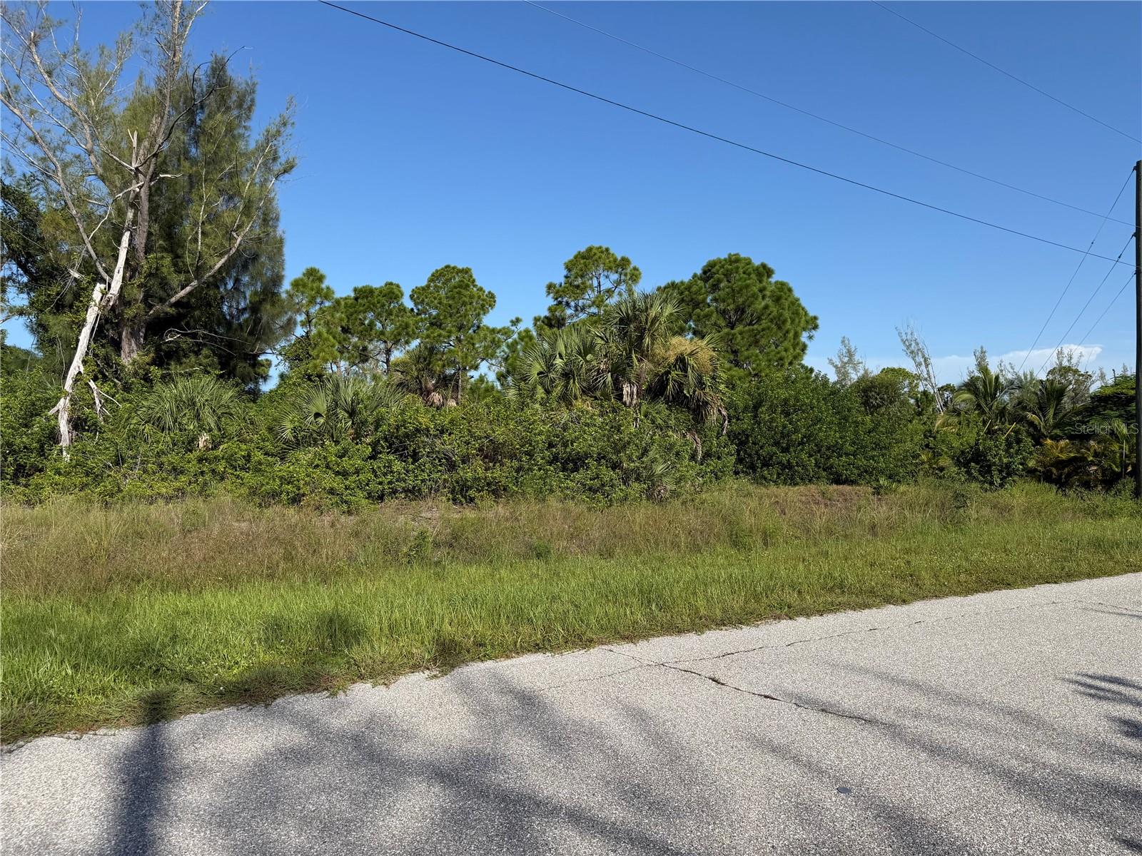 10710 Kearsarge Cir Property Photo 4