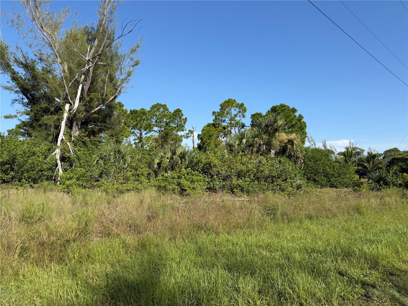10710 Kearsarge Cir Property Photo 5