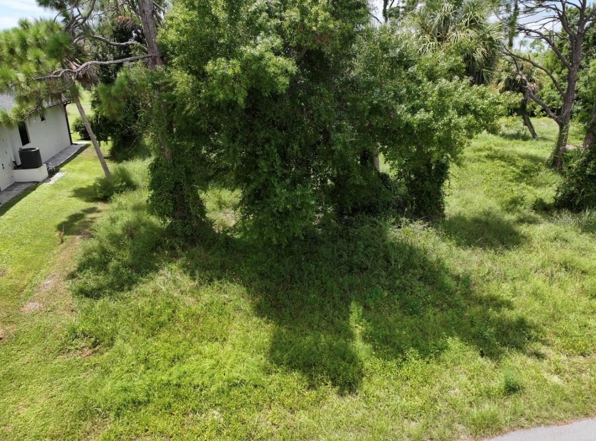 18 Pine Valley Ct Property Photo 3