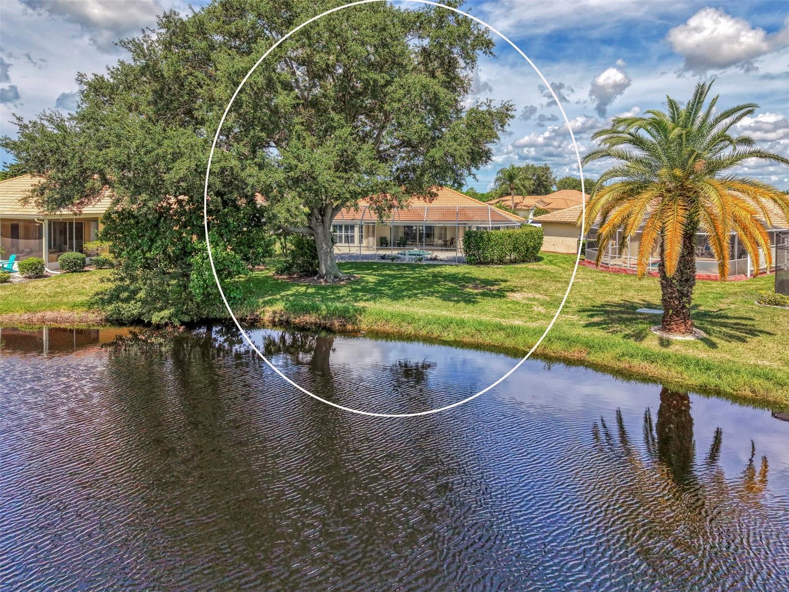 8234 Palmview Ct Property Photo 50