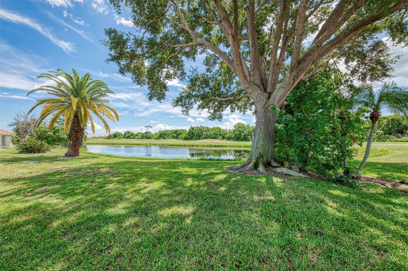 8234 Palmview Ct Property Photo 55