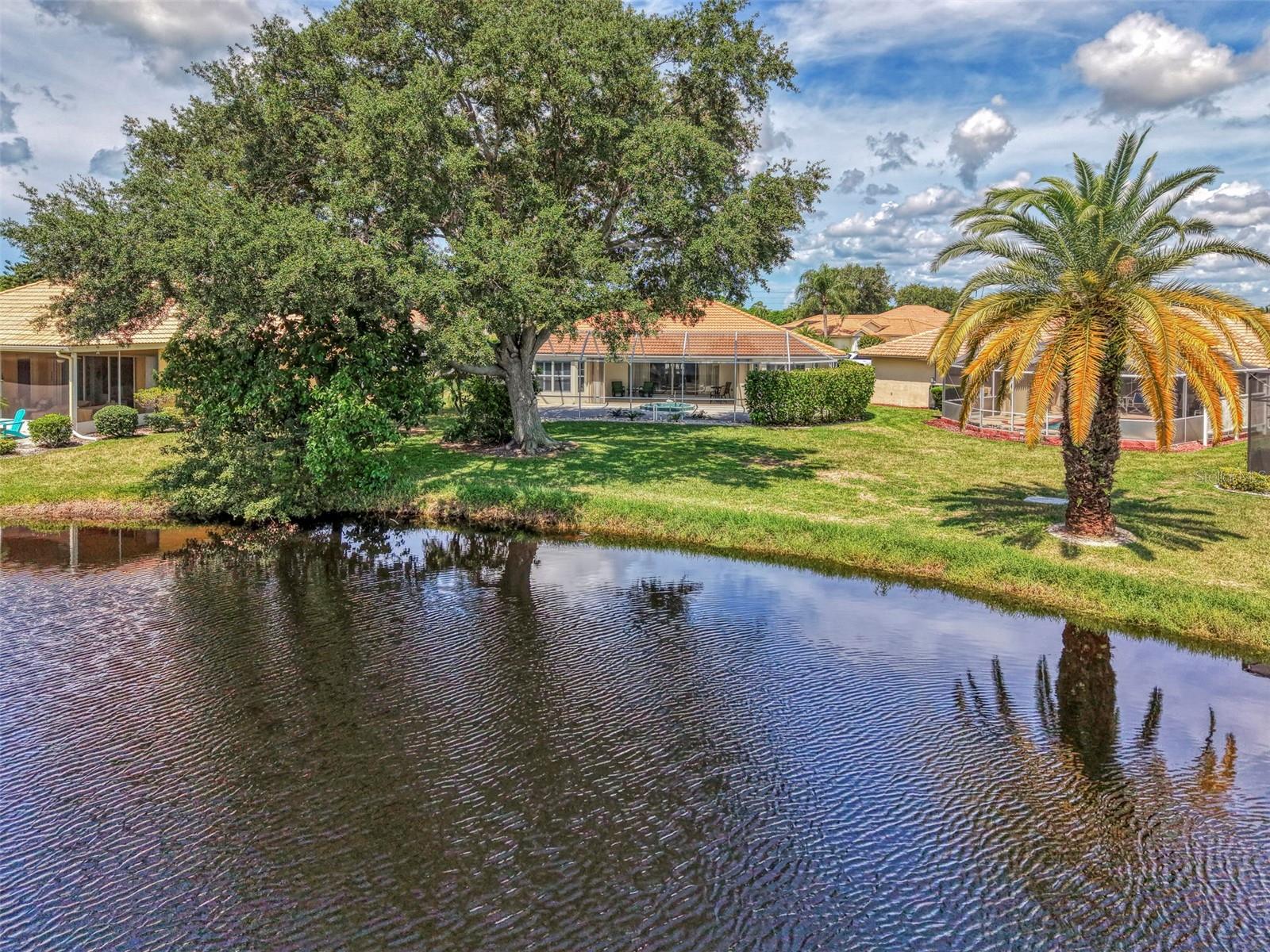 8234 Palmview Ct Property Photo 60