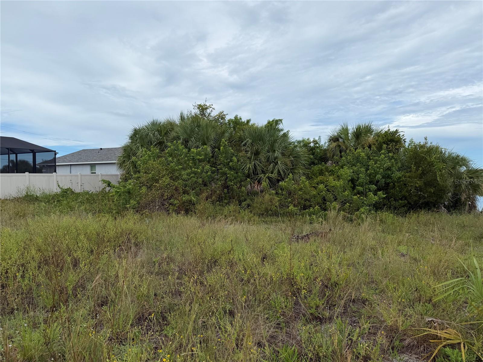 10377 Harlingen St Property Photo 3