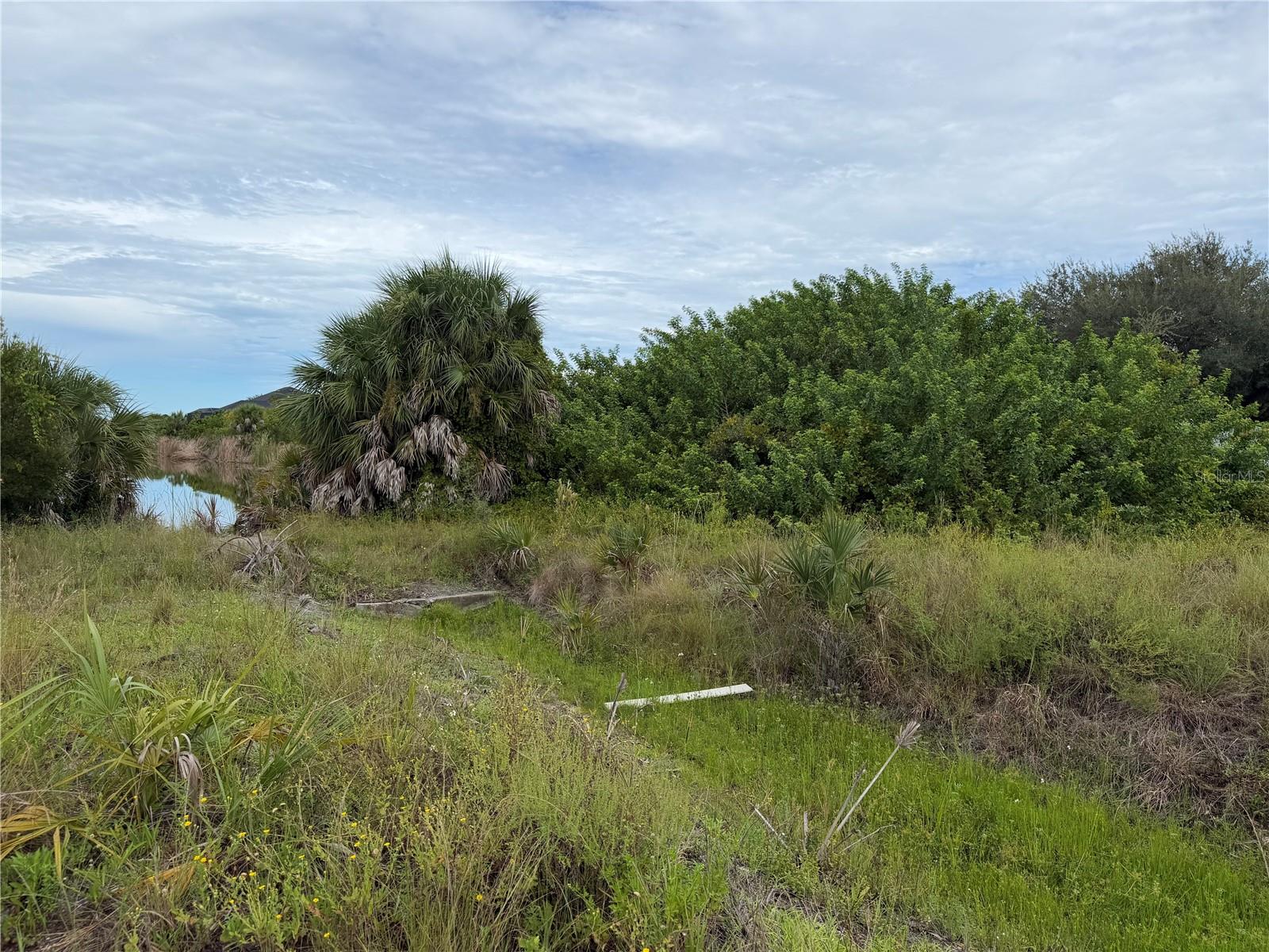 10377 Harlingen St Property Photo 4