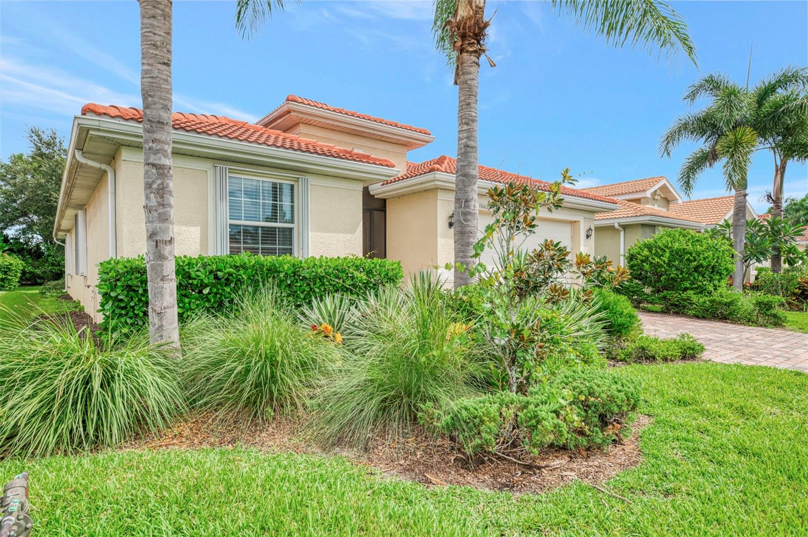 11662 Parrotfish St Property Photo 3