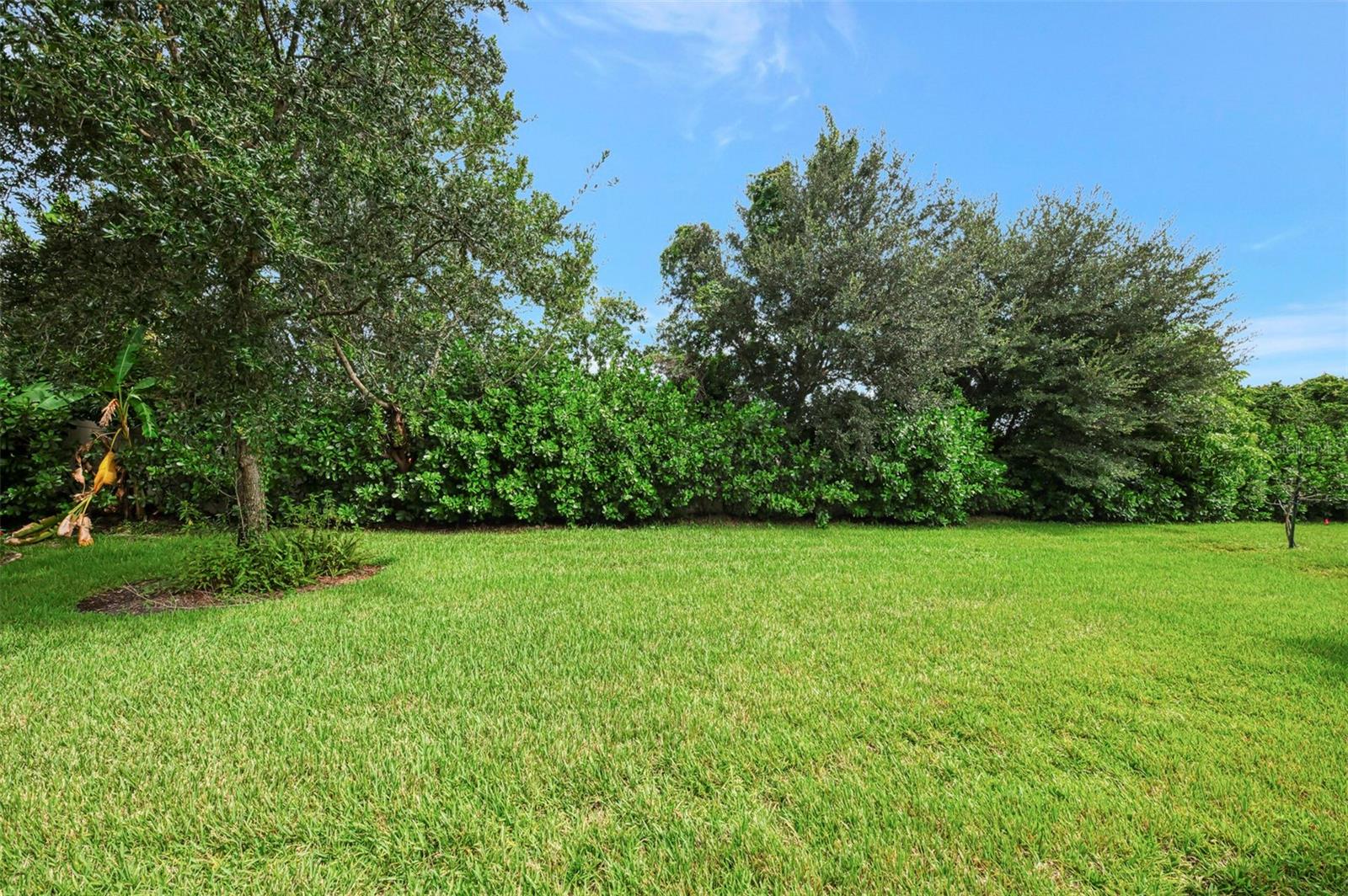 11662 Parrotfish St Property Photo 53