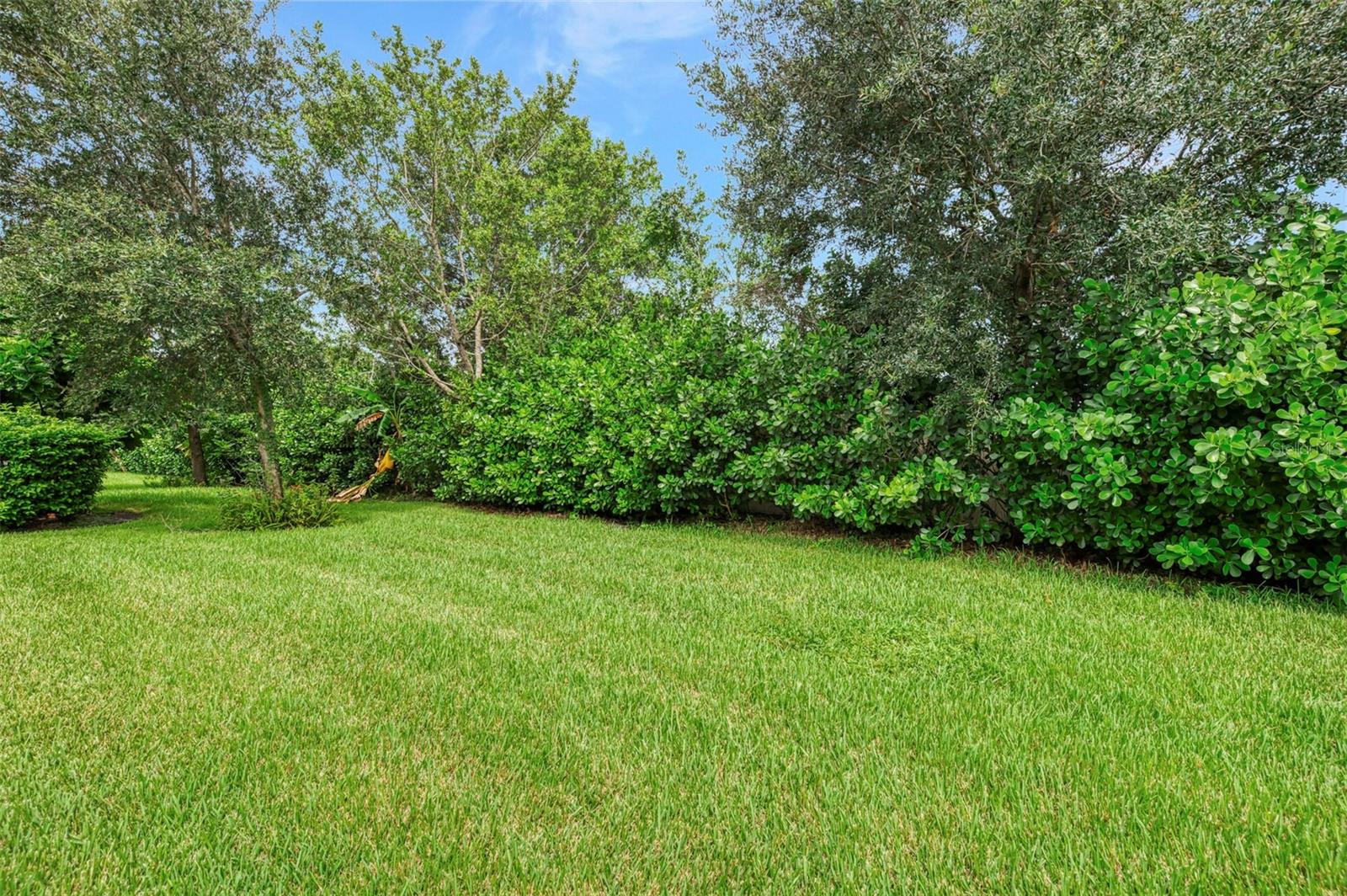 11662 Parrotfish St Property Photo 56