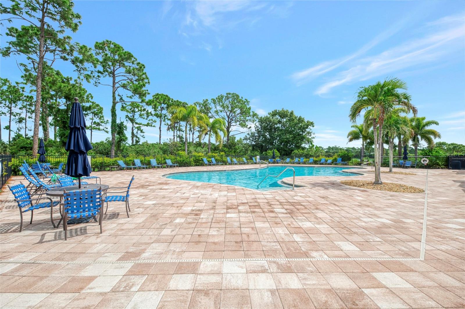 11662 Parrotfish St Property Photo 68